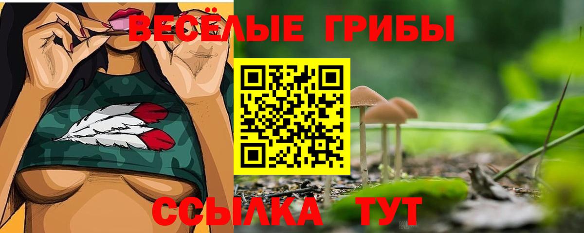 Галлюциногенные грибы Psilocybe  Вход с VPN  Трёхгорный 