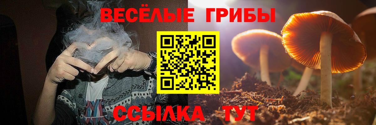 Галлюциногенные грибы GOLDEN TEACHER Трёхгорный
